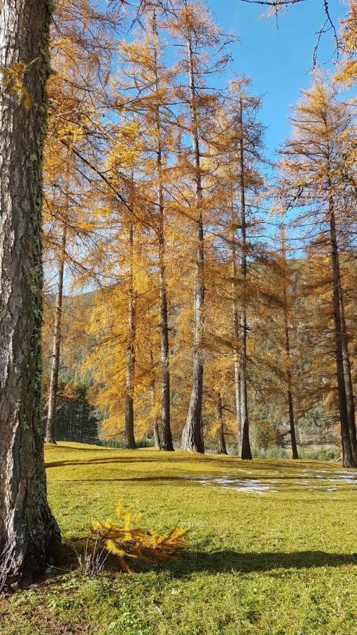 Chalet Am See Nassereith Dış mekan fotoğraf